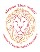 Africa Lion Safari