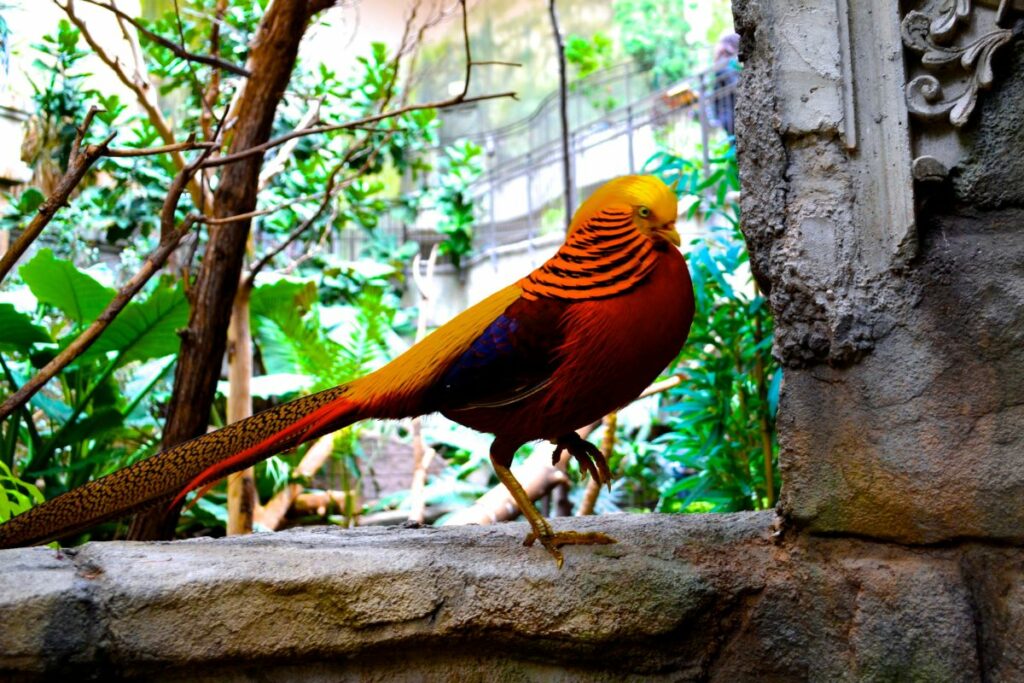 Canada's Accredited Zoos and Aquariums (CAZA)