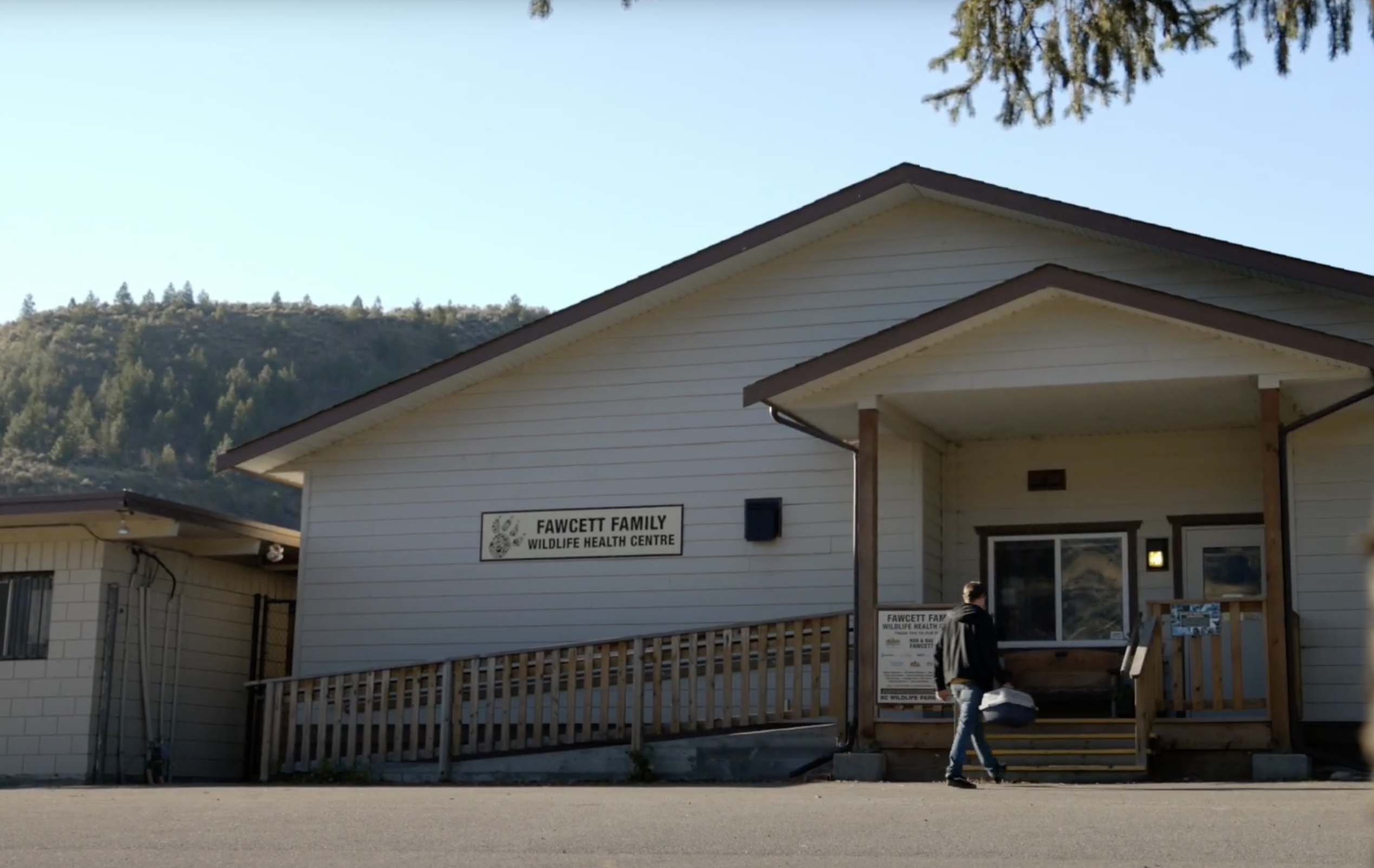 BC Wildlife Park - Fawcett Family Wildlife Health Centre
