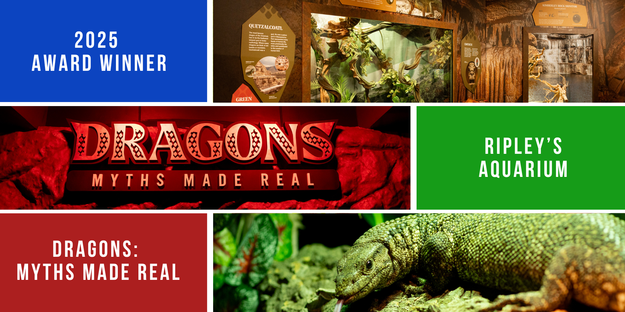 Ripley's Aquarium - Dragons: Myths Made Real CAZA Awards of Excellence
