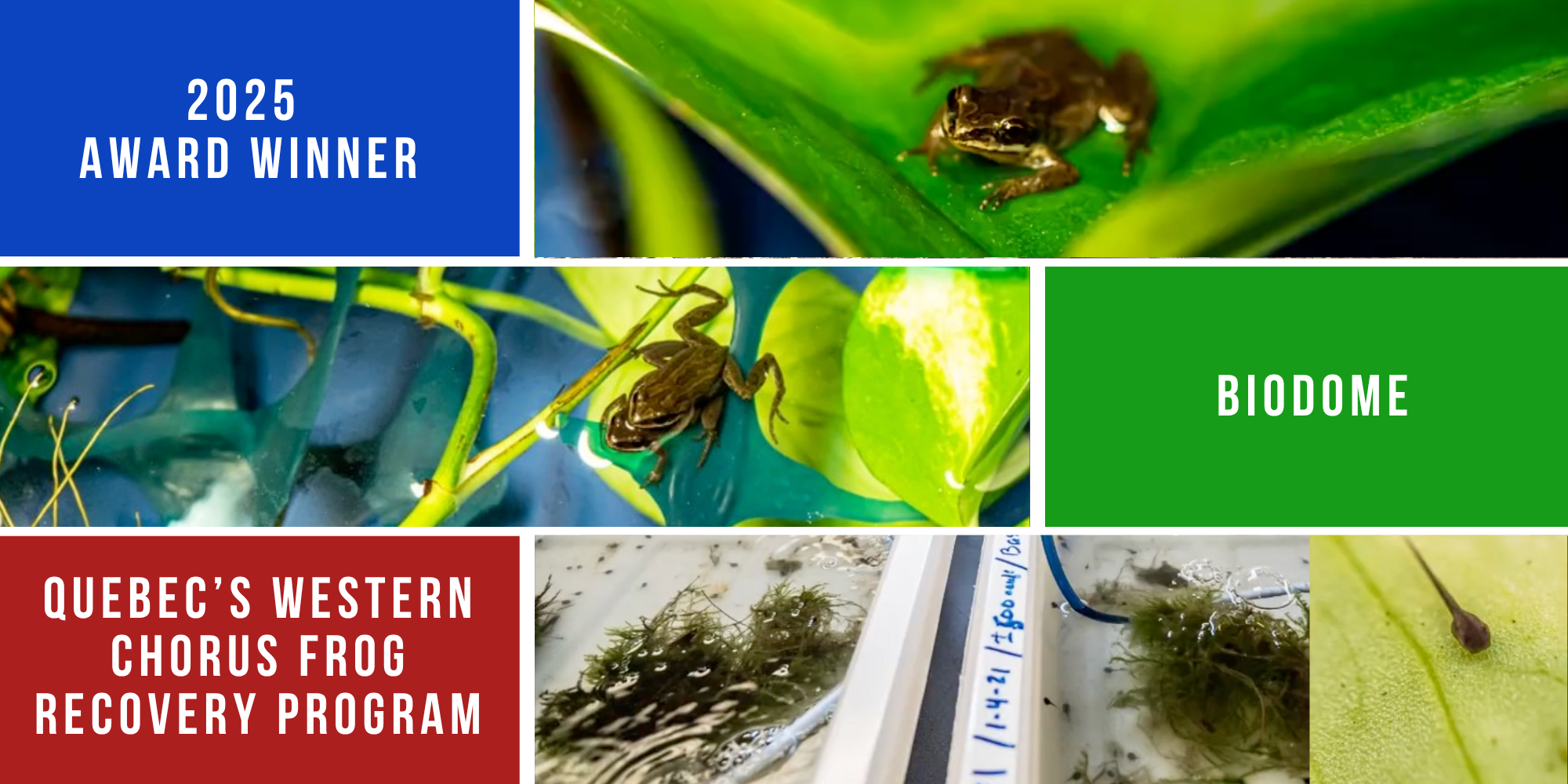 Biodome 2025 Awards of Excellence