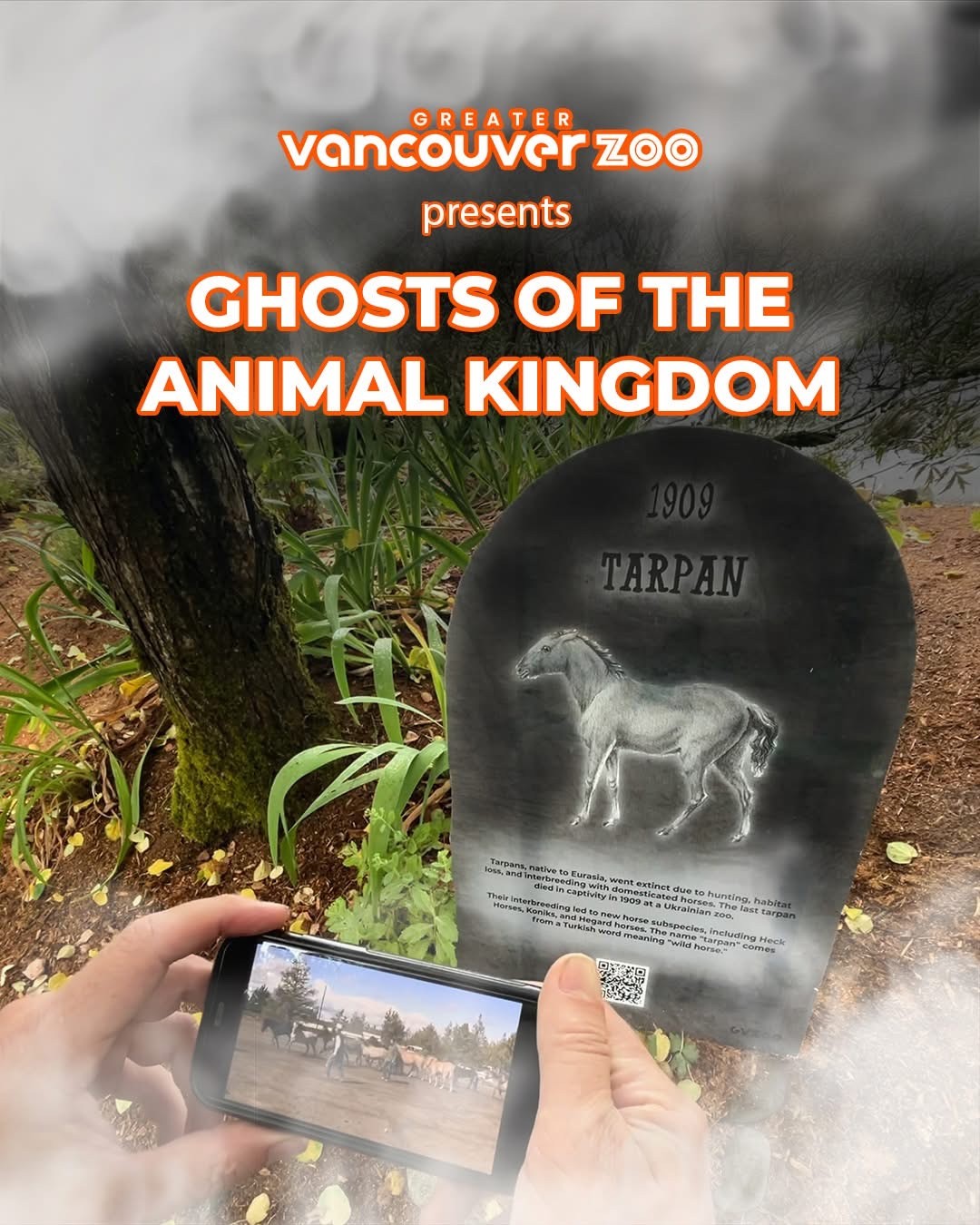 Greater Vancouver Zoo - Ghosts of the Animal Kingdom Project Education
