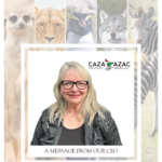 A Message from the CEO - 2026