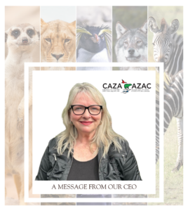 A Message from the CEO - 2026